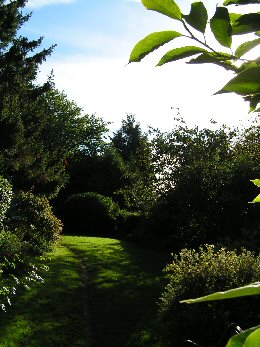 View from The Garden Room