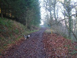 Kymin walk