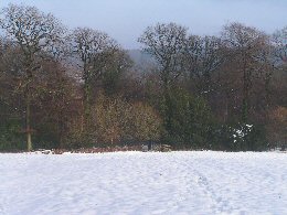 Snowy field on Kymin